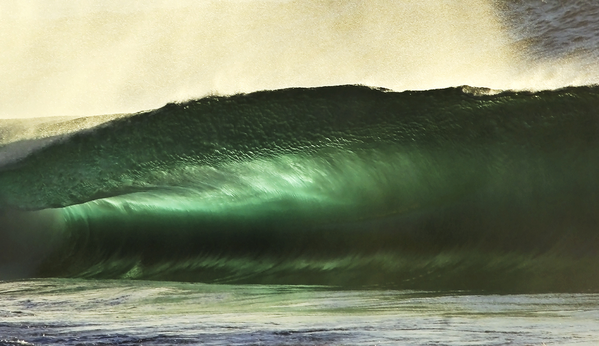 Green goblin close ups. Photo: <a href=\"https://www.hollytreephoto.com/\" target=\"_blank\">Holly Shoebridge</a>