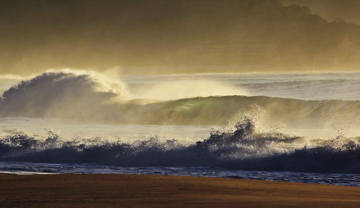 Said riding reaping the rewards. Photo: <a href=\"https://www.hollytreephoto.com/\" target=\"_blank\">Holly Shoebridge</a>