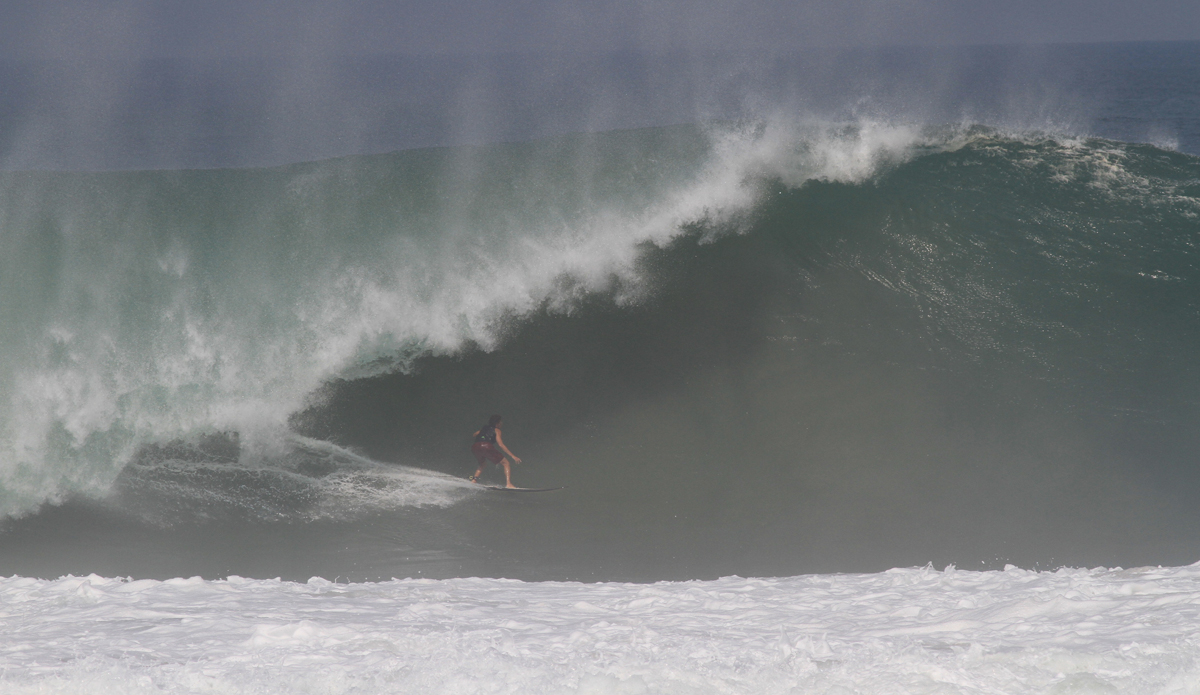 Credit: Edwin Morales and Lucano Hinkle.