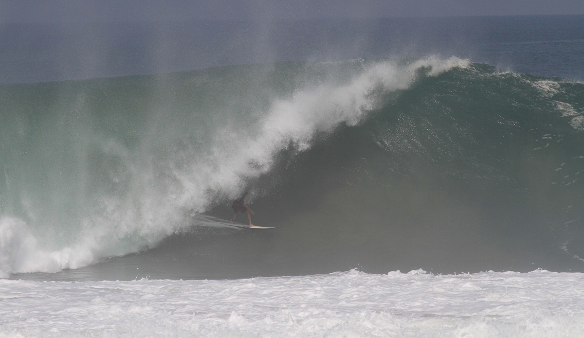 Credit: Edwin Morales and Lucano Hinkle.