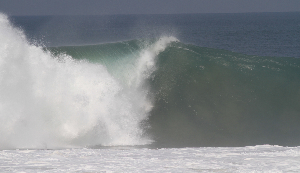 Credit: Edwin Morales and Lucano Hinkle.