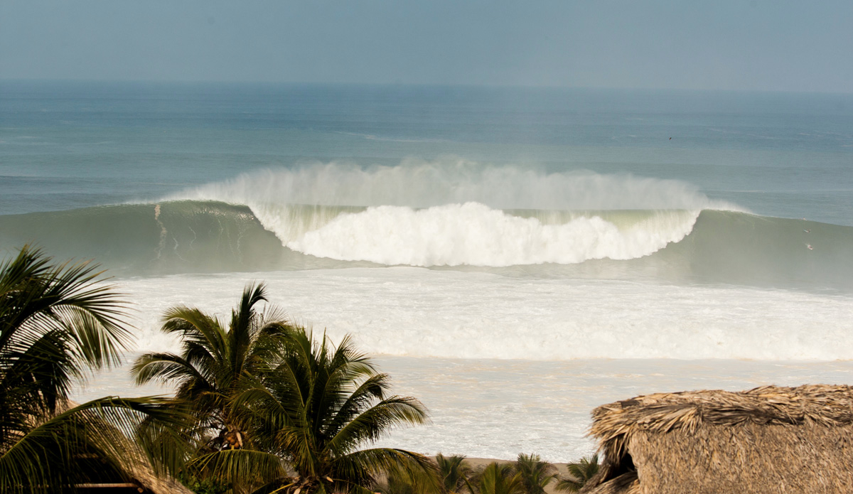 Credit: Edwin Morales and Lucano Hinkle.