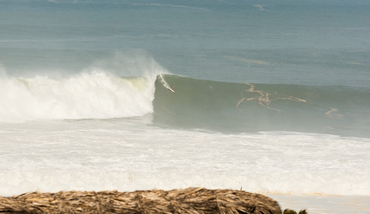 Credit: Edwin Morales and Lucano Hinkle.