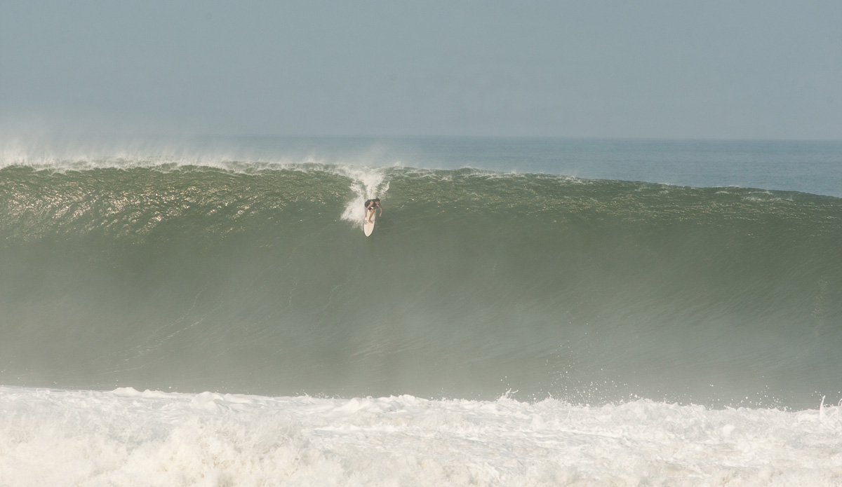 Credit: Edwin Morales and Lucano Hinkle.