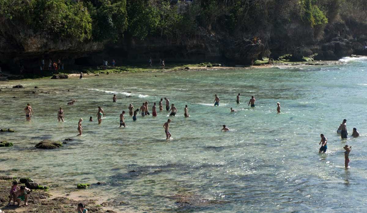 The beach was flooded with eager spectators, some of whom tried to rescue a beached stingray. Photo: <a href=\"https://www.drydenbrown.com/\">Dryden Brown</a>