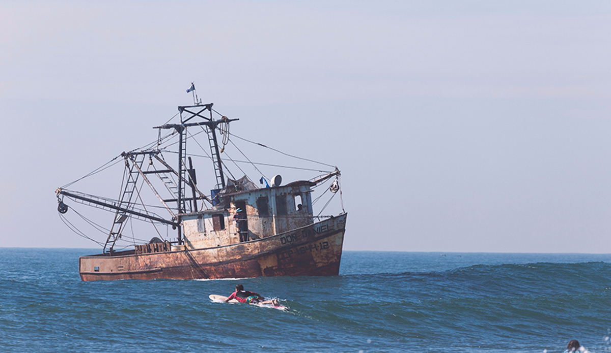 Morning traffic is not of the usual type. Photo: <a href=\"https://www.kheperphoto.com/\">Paola Núñez Linares</a>