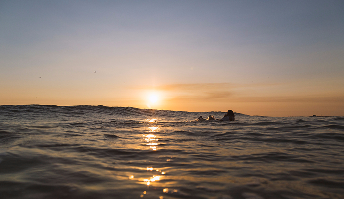 But whatever you do, make sure you enjoy the show. Photo: <a href=\"https://www.kheperphoto.com/\">Paola Núñez Linares</a>