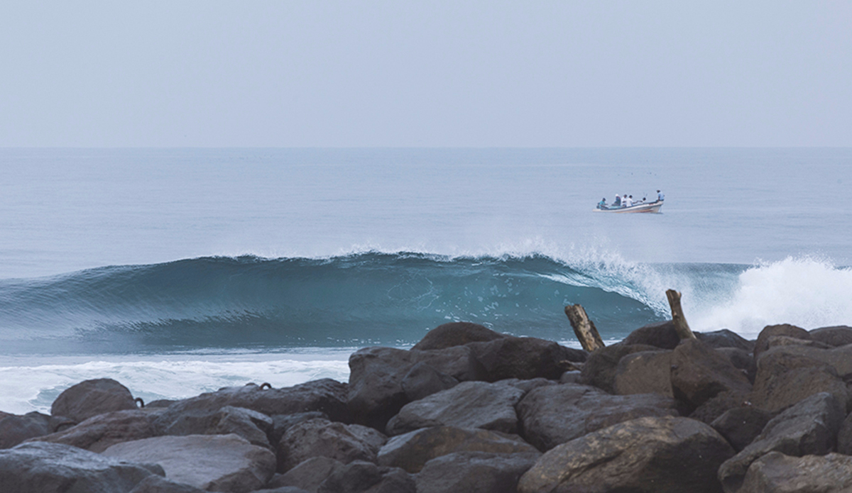 Emerald love is eternal. Photo: <a href=\"https://www.kheperphoto.com/\">Paola Núñez Linares</a>