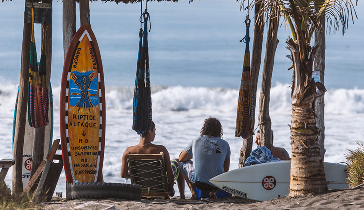 Bring a friend or two, there\'s room for more. Photo: <a href=\"https://www.kheperphoto.com/\">Paola Núñez Linares</a>