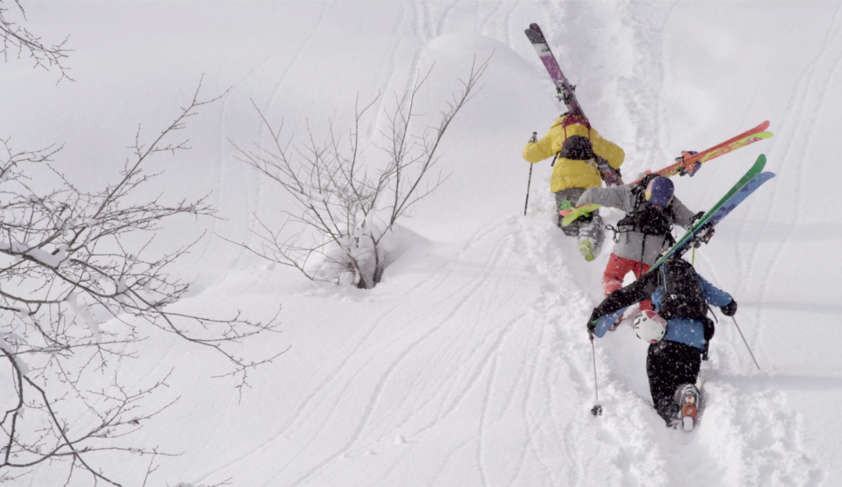 Photo: <a href=\"https://www.youtube.com/watch?v=O4zK6Ea7aJA\">Legs of Steel</a>