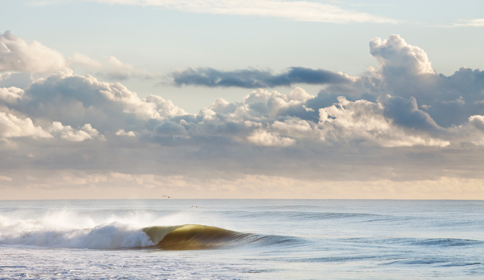 California dreamin\'. Photo: <a href=\"https://paulgreenephoto.com/\" target=_blank>Paul Greene</a> 