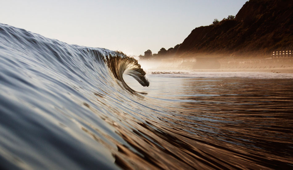 Summer gold. Photo: <a href=\"https://paulgreenephoto.com/\" target=_blank>Paul Greene</a> 