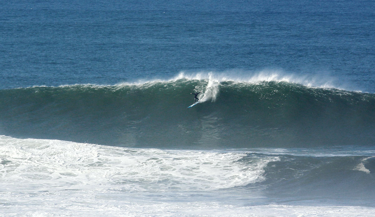 Photo: <a href=\"https://www.pedrobalaphotography.com/\">Pedro Bala</a>