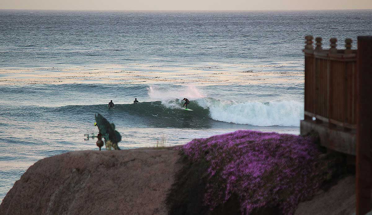 Photo: <a href=\"https://www.pedrobalaphotography.com/\">Pedro Bala</a>