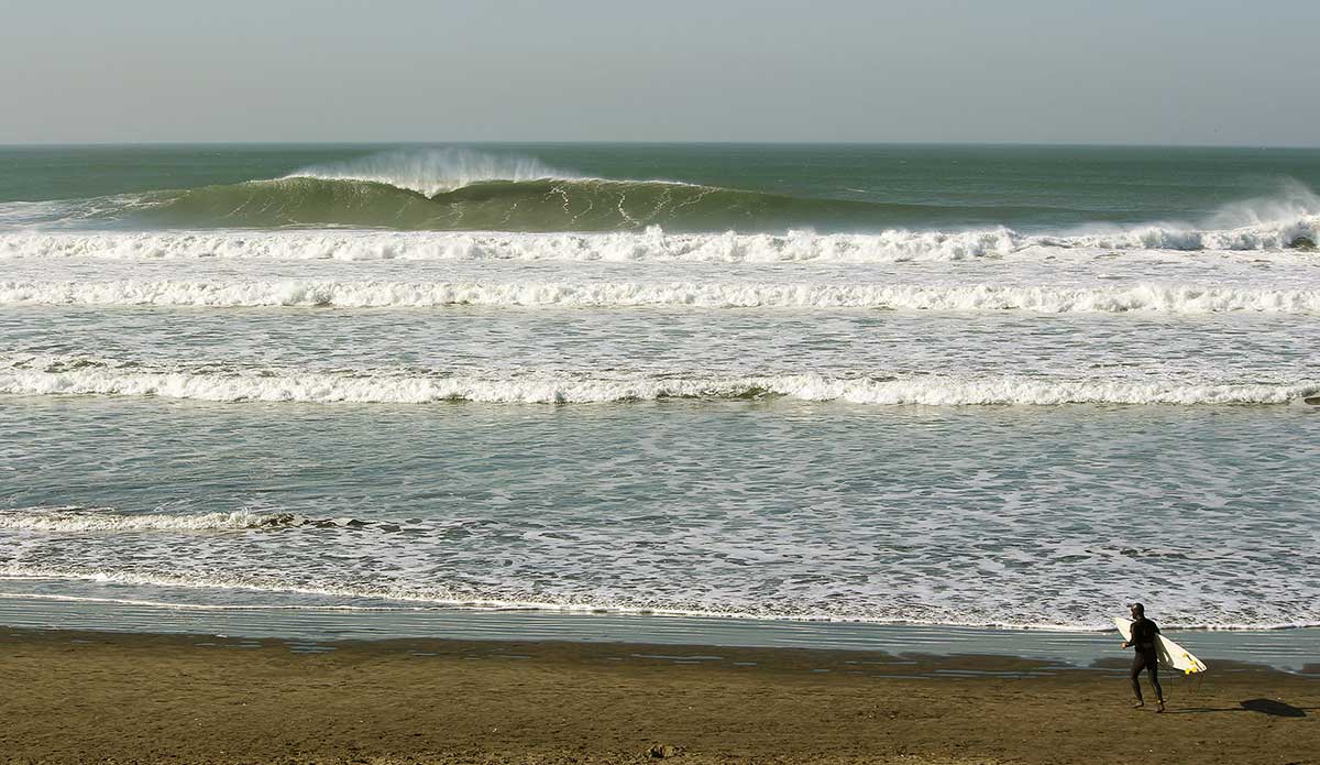 Photo: <a href=\"https://www.pedrobalaphotography.com/\">Pedro Bala</a>