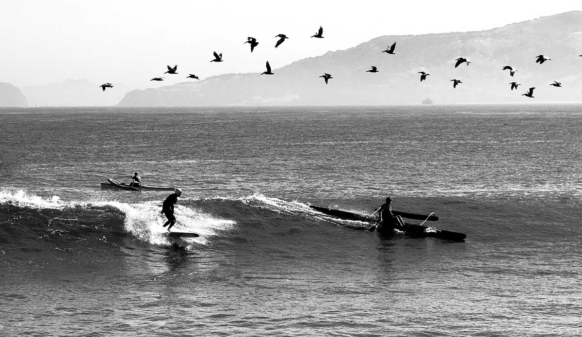 Photo: <a href=\"https://www.pedrobalaphotography.com/\">Pedro Bala</a>