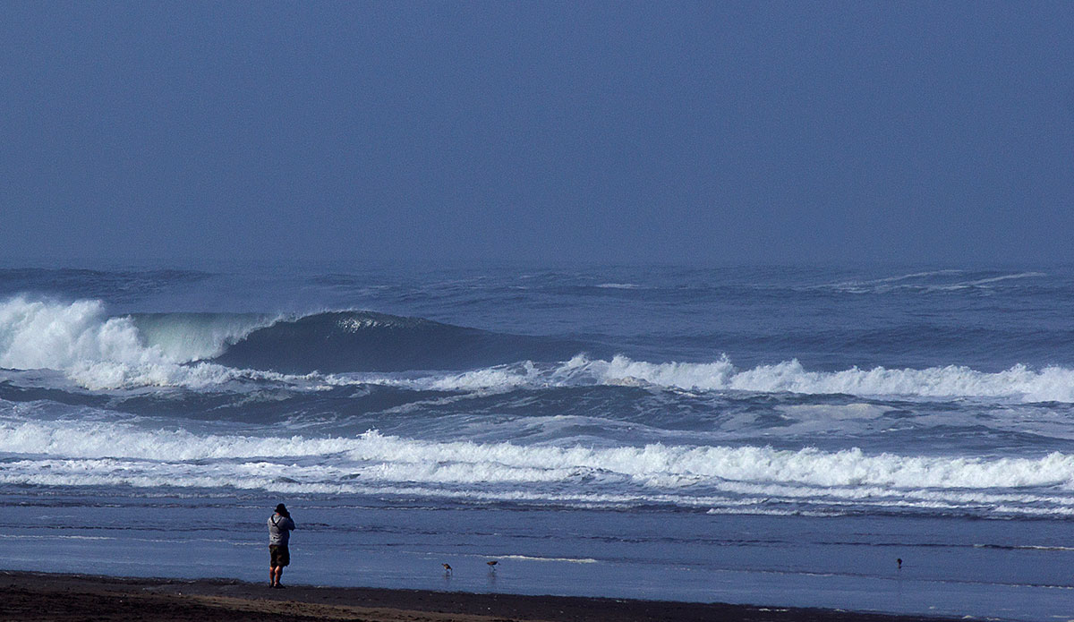 Photo: <a href=\"https://www.pedrobalaphotography.com/\">Pedro Bala</a>