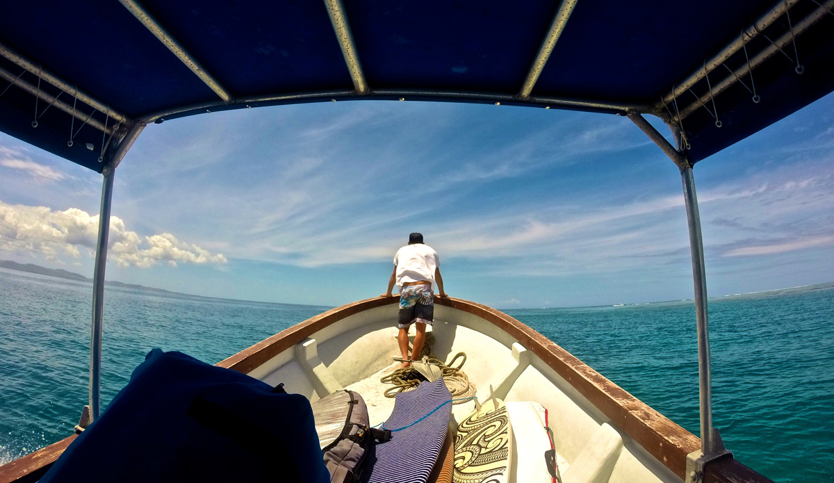 Anticipation. Photo: <a href=\"https://petemilnesproductions.com/\">Pete Milnes</a>