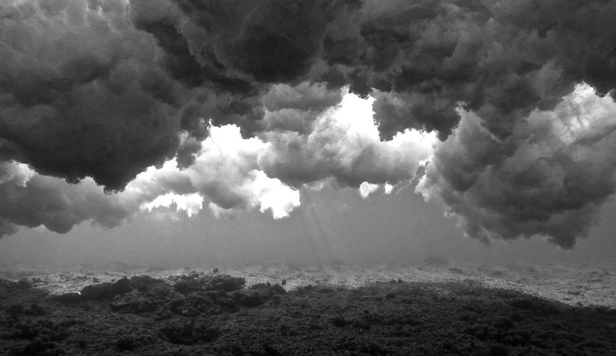 Beautiful and robust even without color. Photo: <a href=\"https://petemilnesproductions.com/\">Pete Milnes</a>