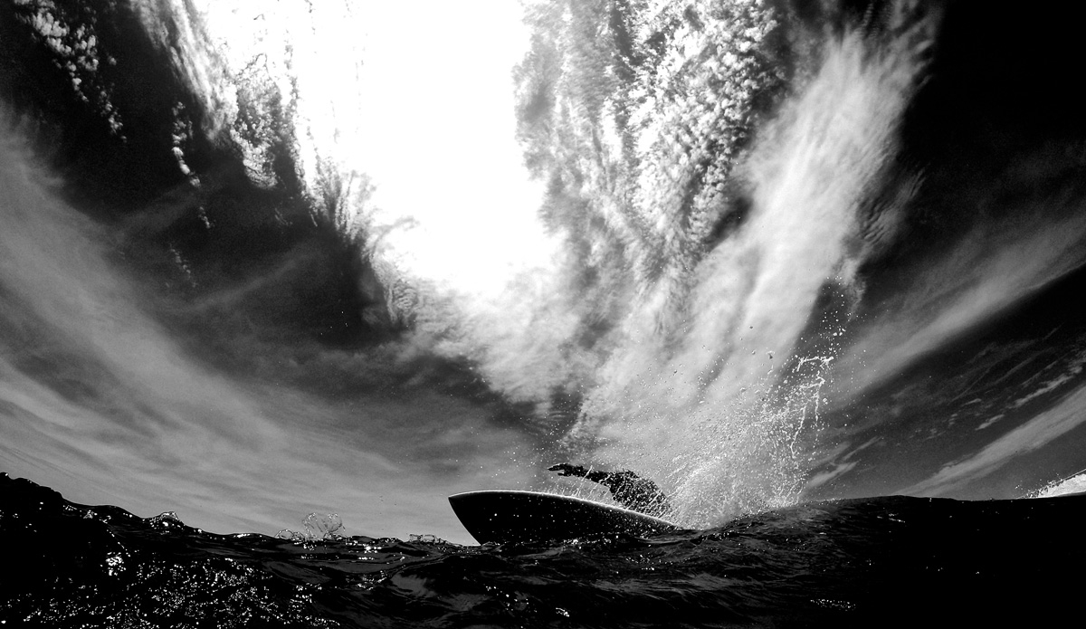 Beautiful and robust even without color. Photo: <a href=\"https://petemilnesproductions.com/\">Pete Milnes</a>