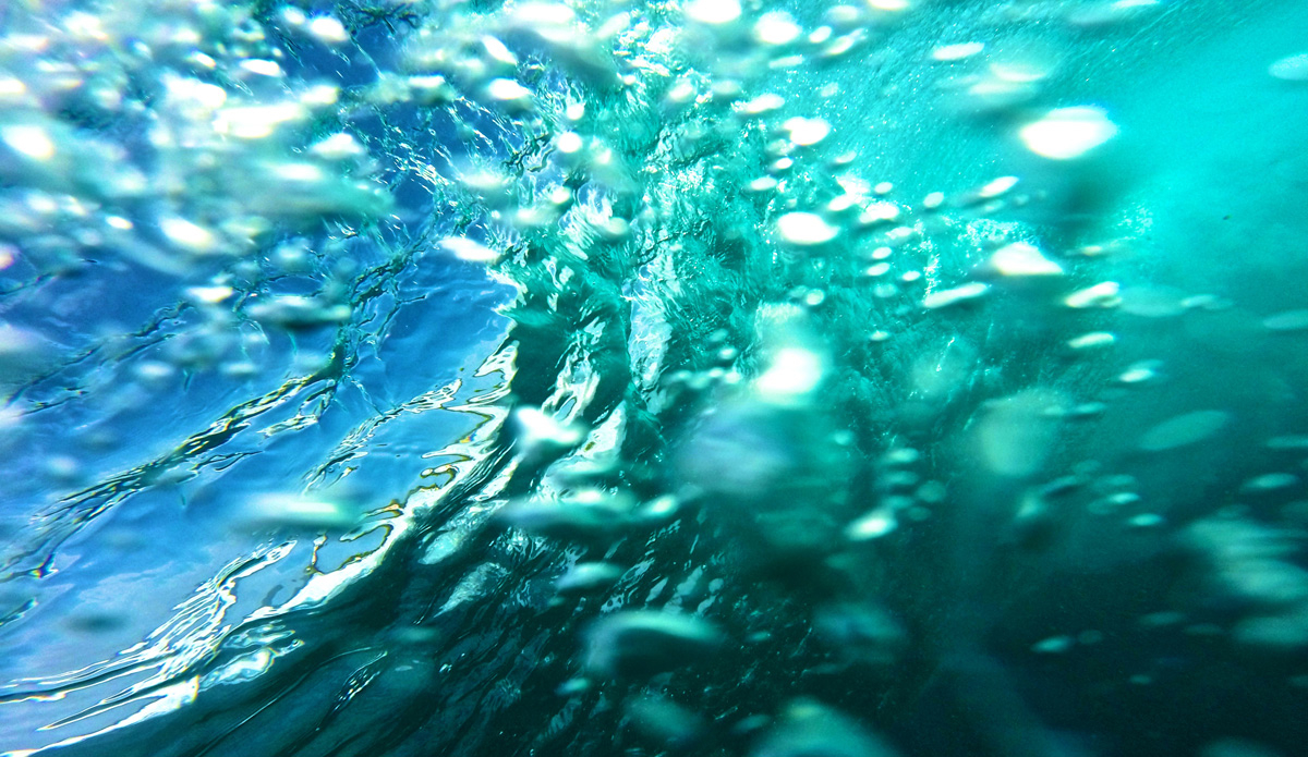 <3. Photo: <a href=\"https://petemilnesproductions.com/\">Pete Milnes</a>