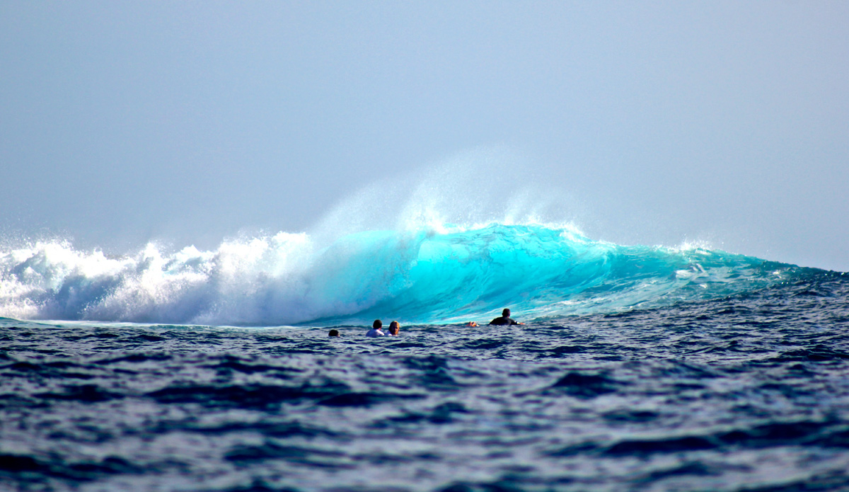 Is that blue, or is that blue? Photo: <a href=\"https://petemilnesproductions.com/\">Pete Milnes</a>