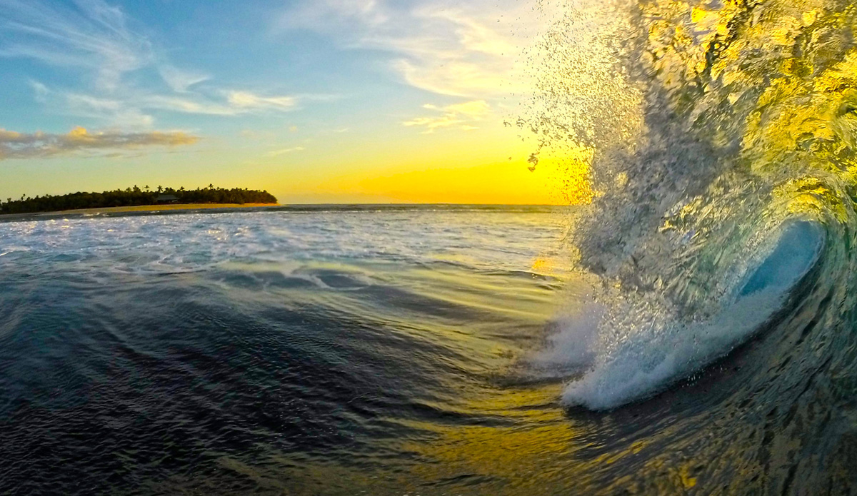 Gotta love the barrels. Photo: <a href=\"https://petemilnesproductions.com/\">Pete Milnes</a>