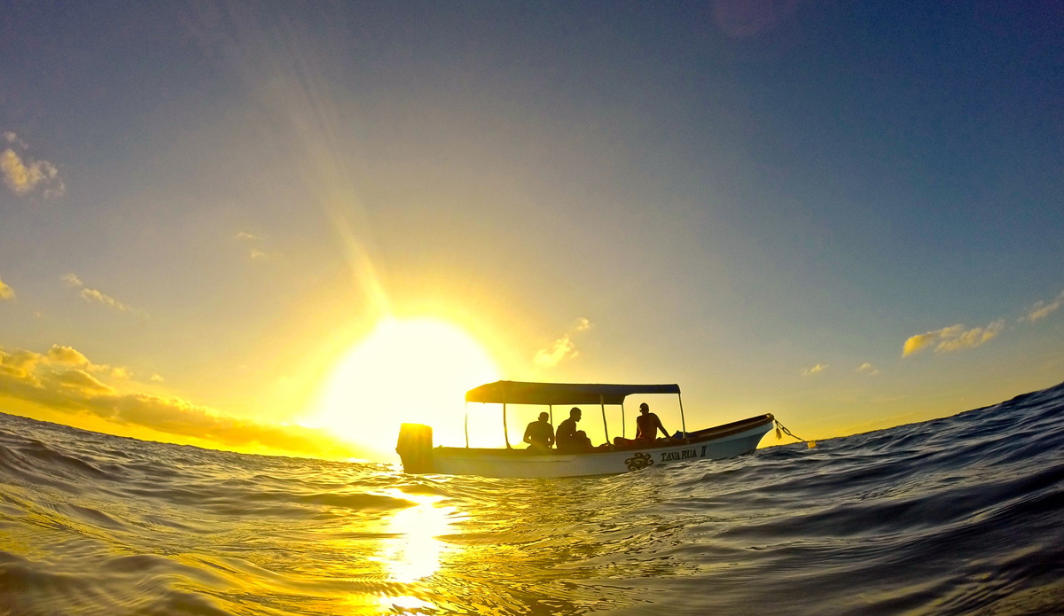 <3. Photo: <a href=\"https://petemilnesproductions.com/\">Pete Milnes</a>