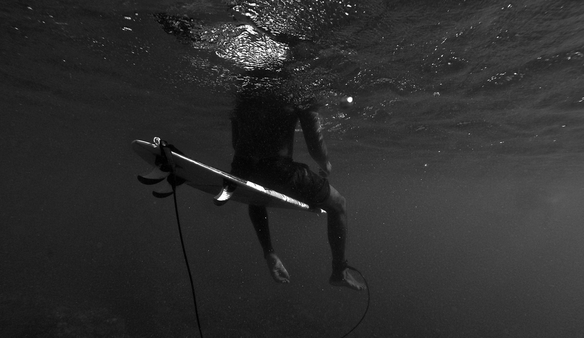 Fisheye view. Photo: <a href=\"https://petemilnesproductions.com/\">Pete Milnes</a>