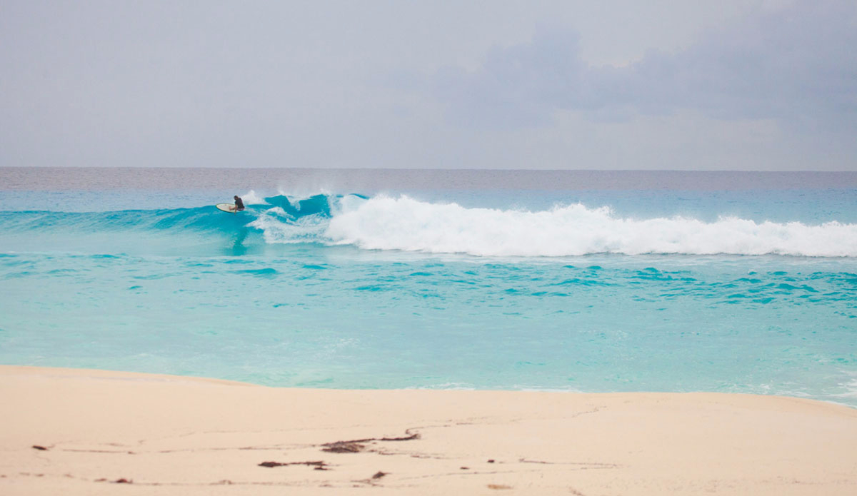 David is one hell of a surfer, too. He lays it on some serious rail.Photo: <a href=\"https://instagram.com/carlitorosen/\"> Carl Rosen</a>