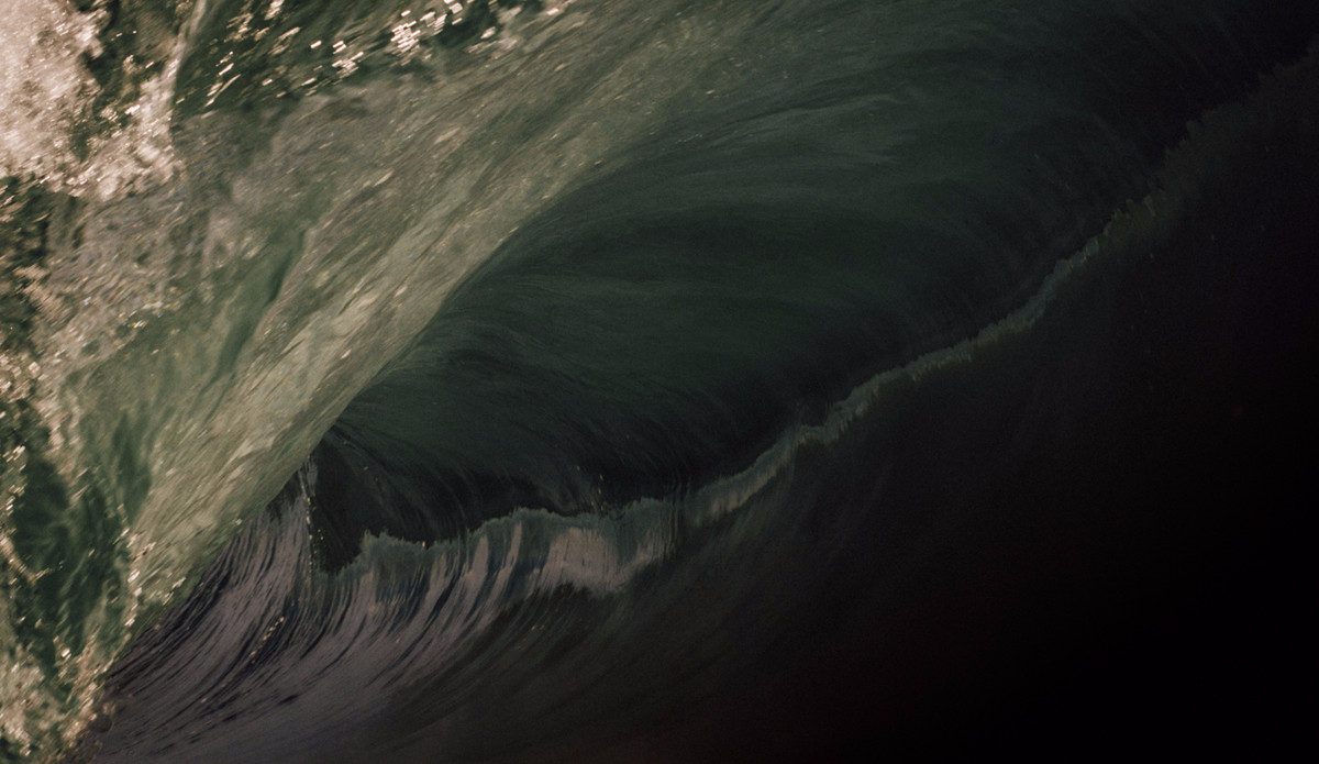 Photo: <a href=\"https://www.adrianemerton.com.au\">Adrian Emerton</a>