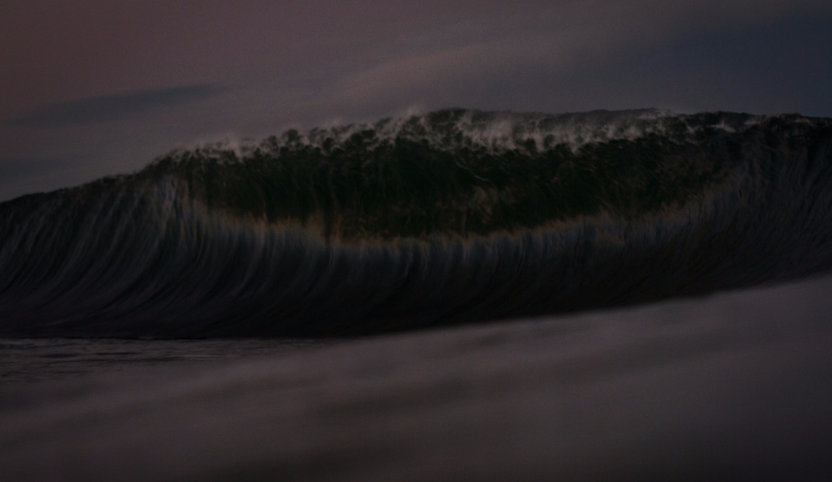 Photo: <a href=\"https://www.adrianemerton.com.au\">Adrian Emerton</a>