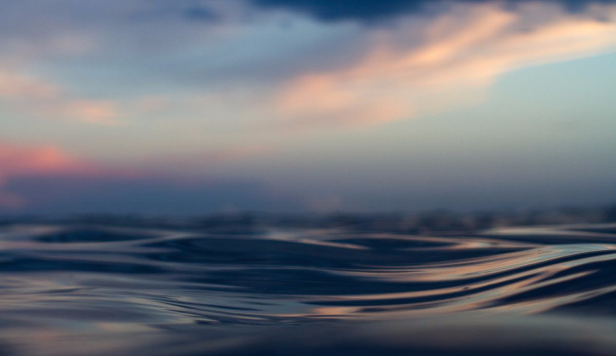 Photo: <a href=\"https://www.adrianemerton.com.au\">Adrian Emerton</a>