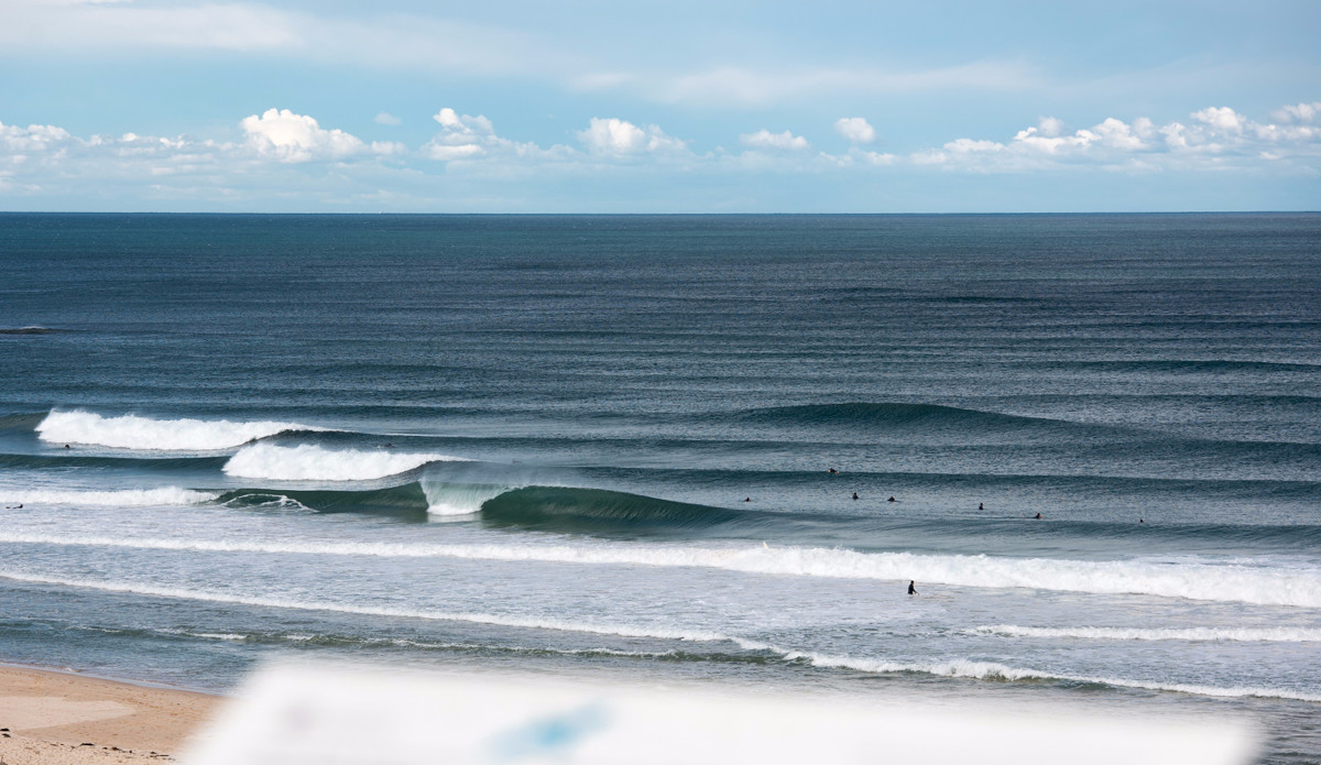 Photo: <a href=\"https://www.adrianemerton.com.au\">Adrian Emerton</a>