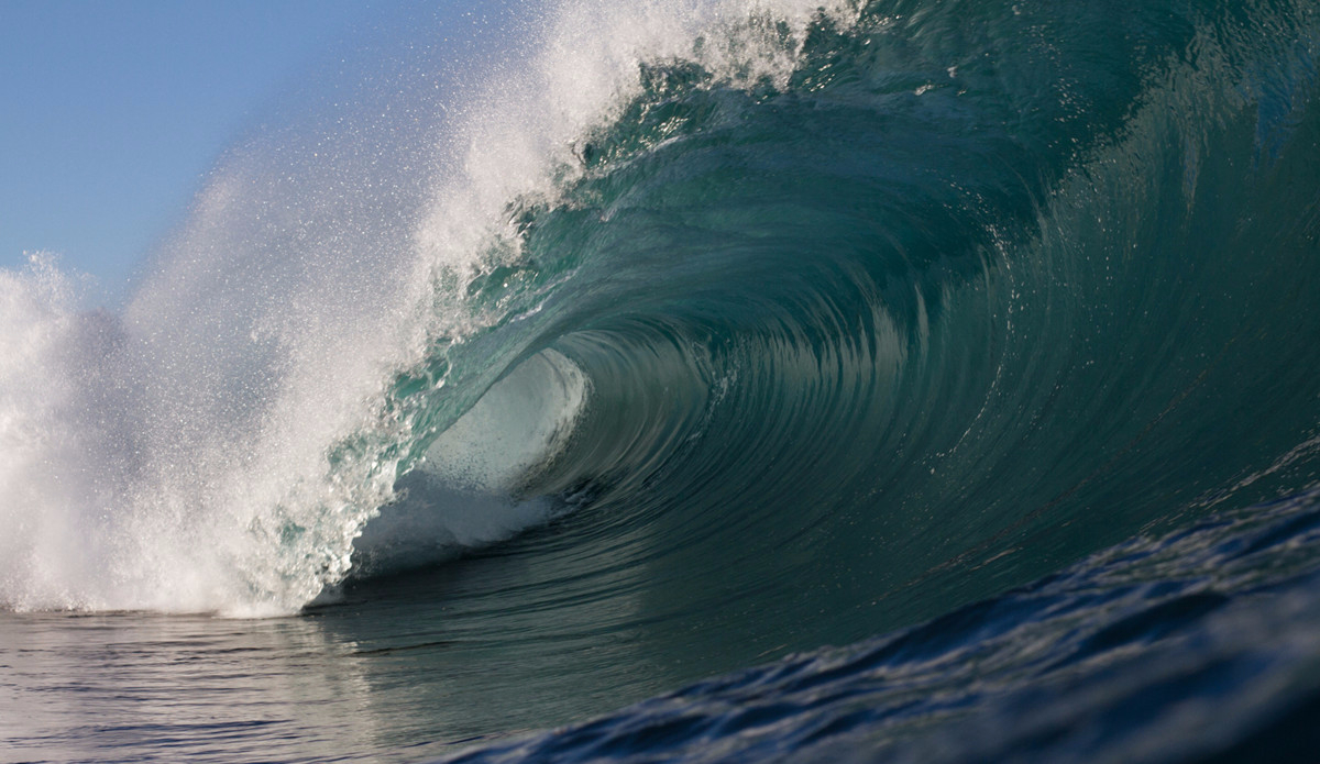 Photo: <a href=\"https://www.adrianemerton.com.au\">Adrian Emerton</a>