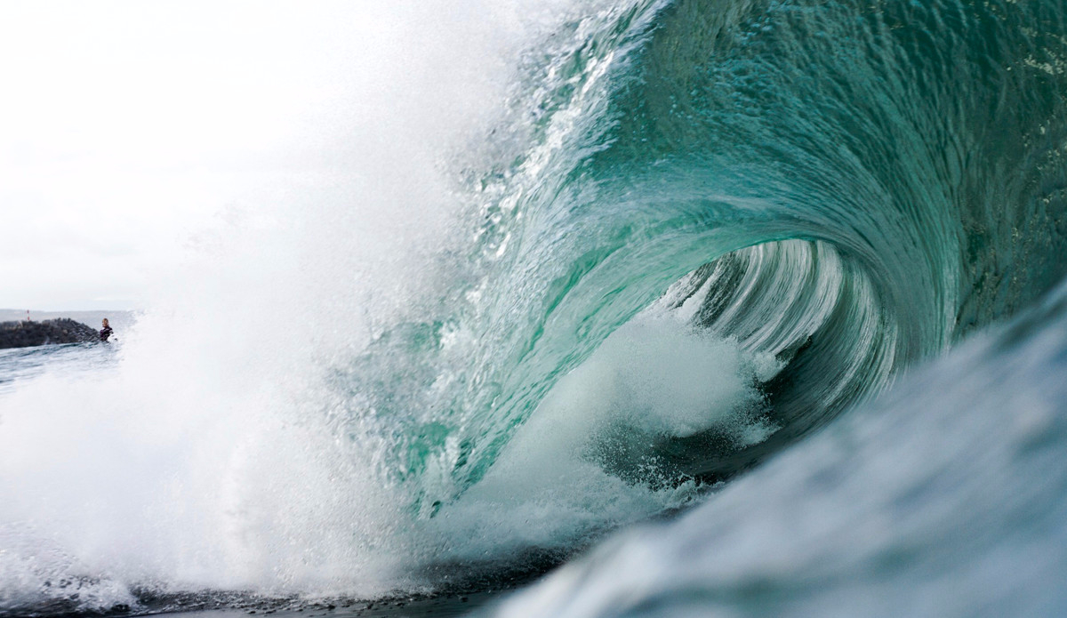 Photo: <a href=\"https://www.adrianemerton.com.au\">Adrian Emerton</a>