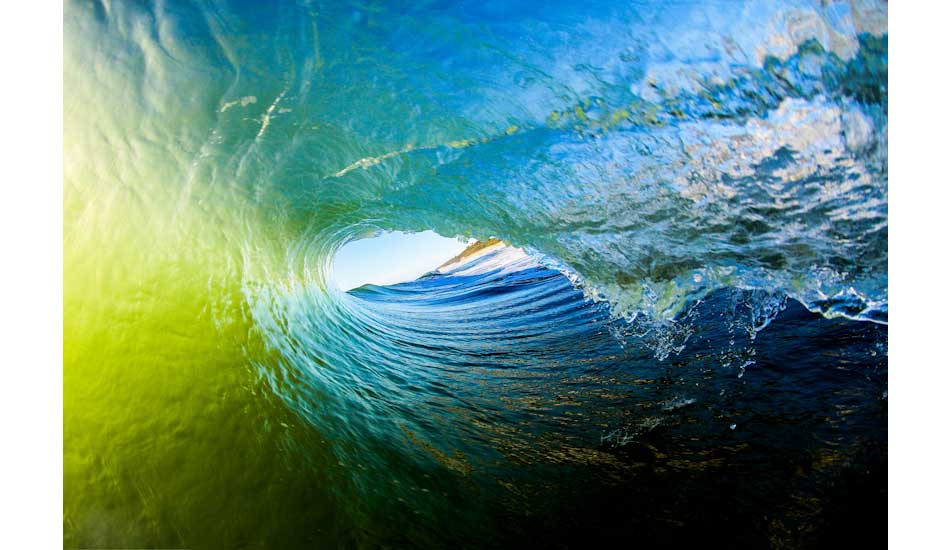 Morning glory. Photo: Pierce Anderson