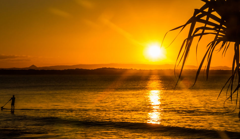 Sunset gold. Photo: Pierce Anderson