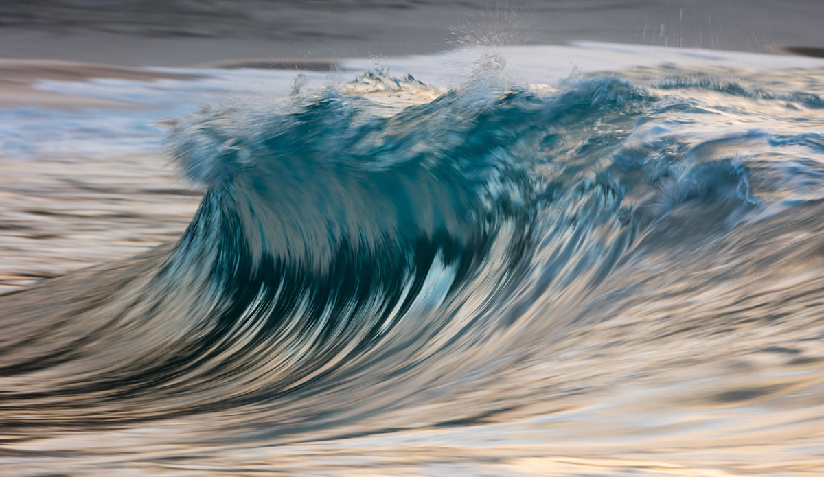 Photo: 
Pierre Carreau Photography