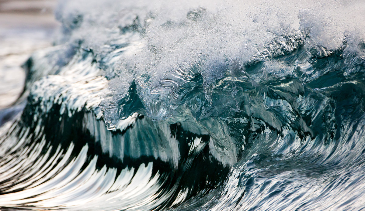 Photo: 
Pierre Carreau Photography