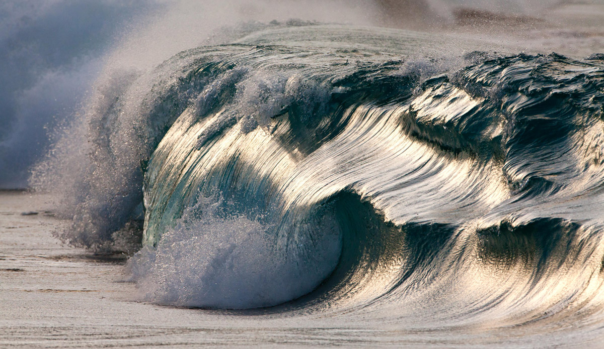 Photo: 
Pierre Carreau Photography