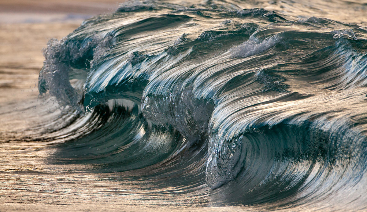 Photo: 
Pierre Carreau Photography