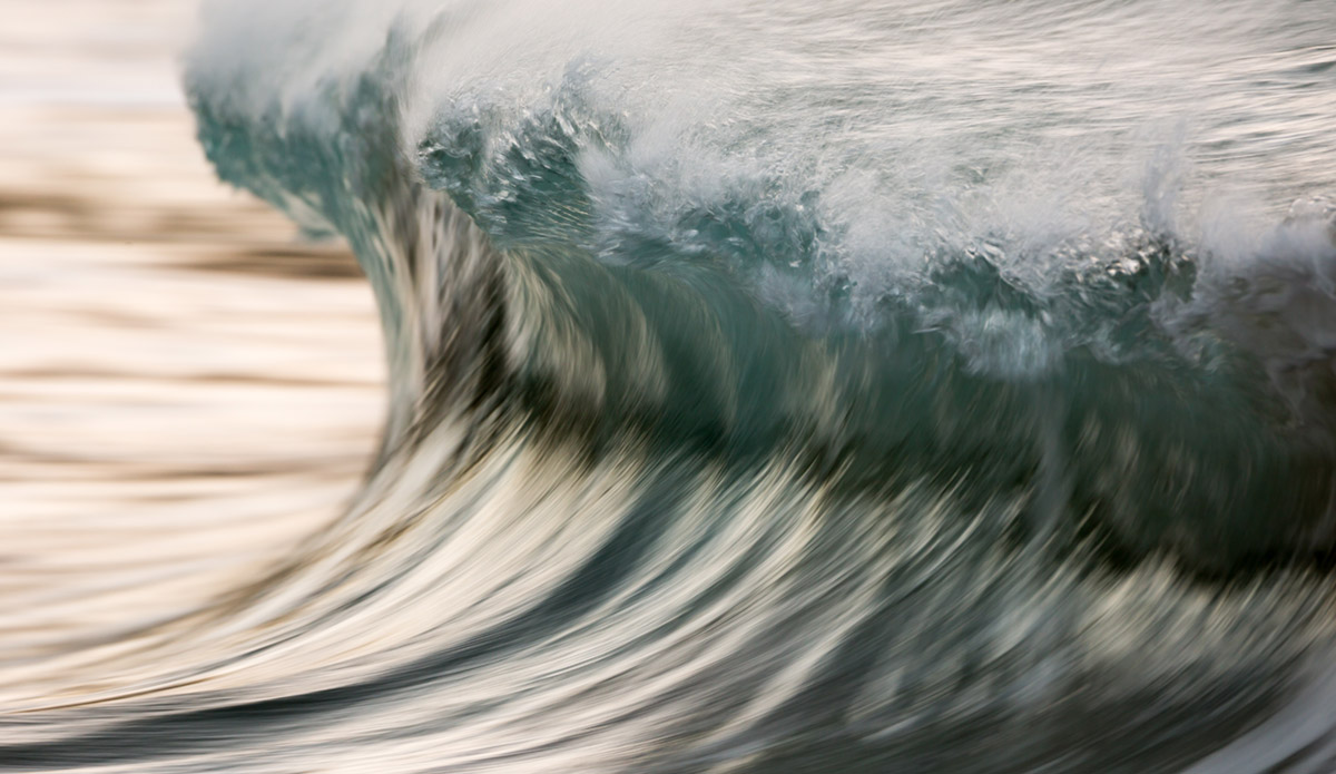 Photo: 
Pierre Carreau Photography