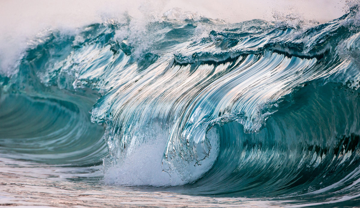 Photo: 
Pierre Carreau Photography