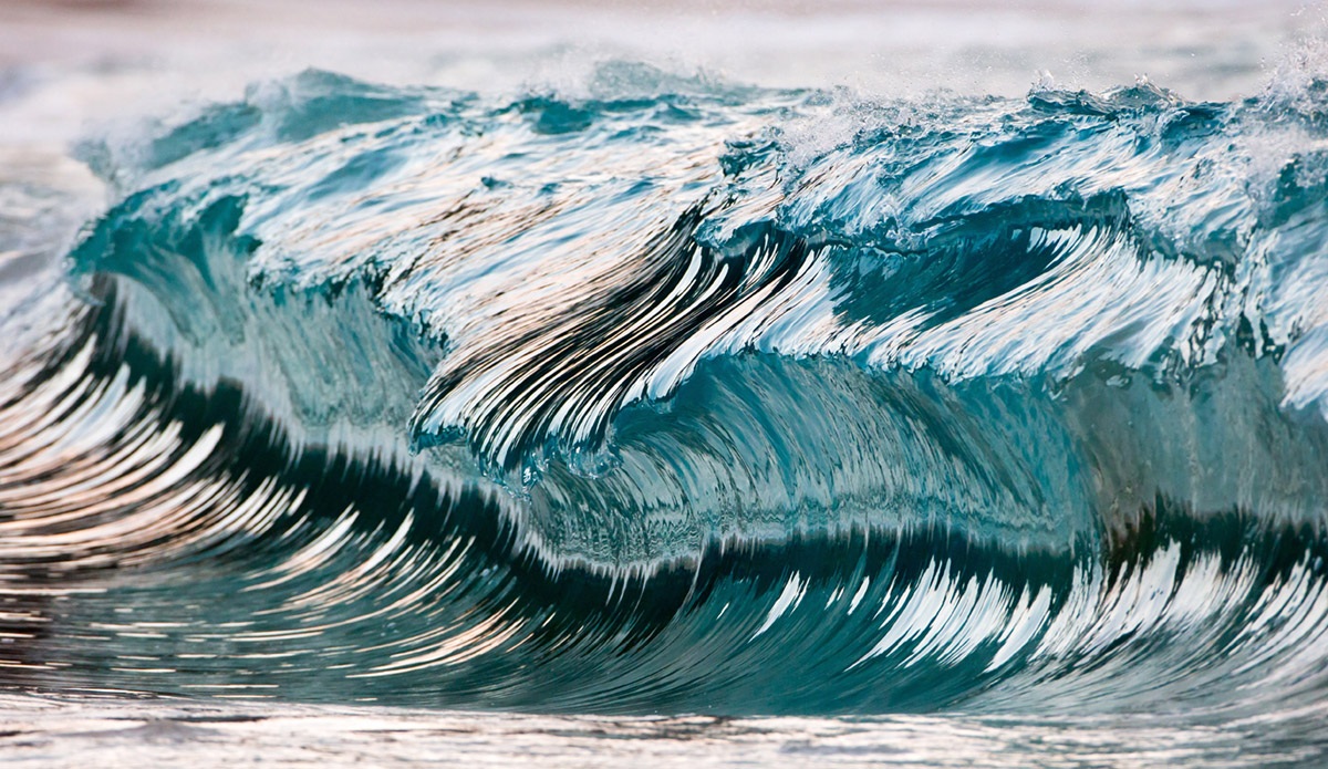 Photo: 
Pierre Carreau Photography