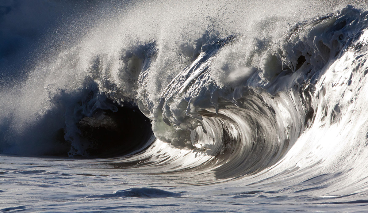 Photo: 
Pierre Carreau Photography