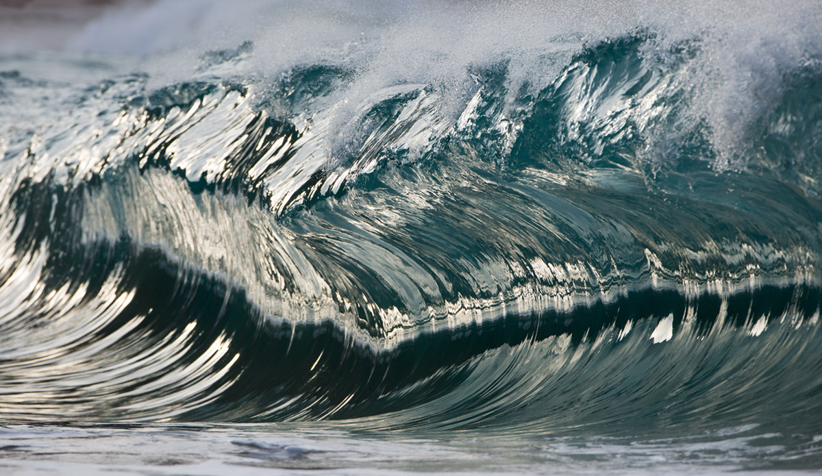 Photo: 
Pierre Carreau Photography