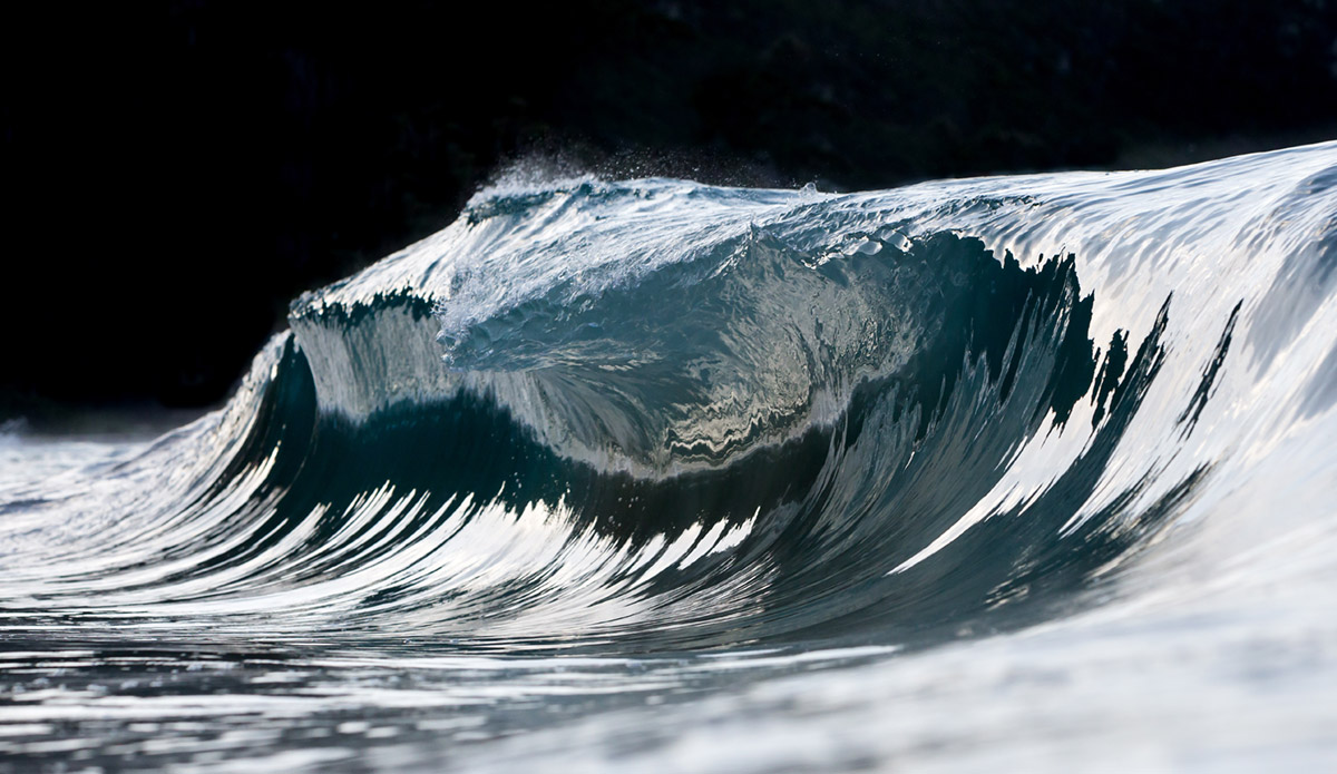 Photo: 
Pierre Carreau Photography