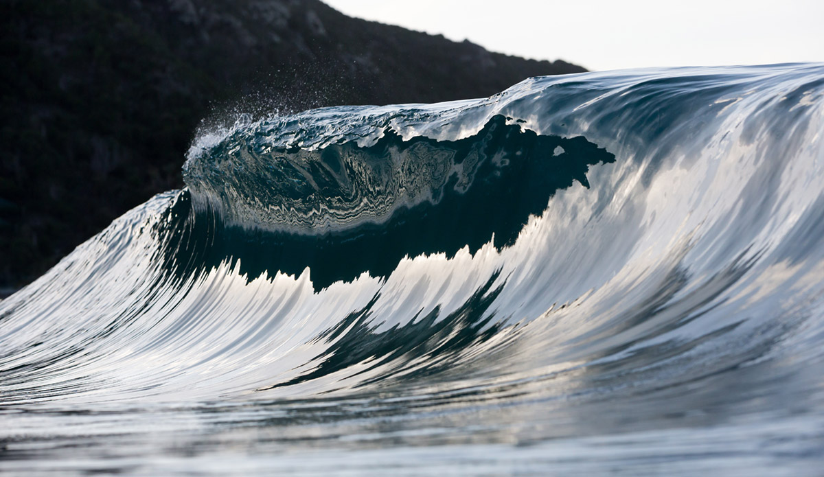 Photo: 
Pierre Carreau Photography