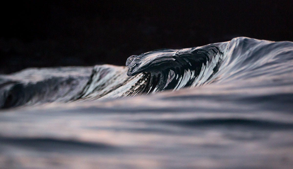 Photo: 
Pierre Carreau Photography